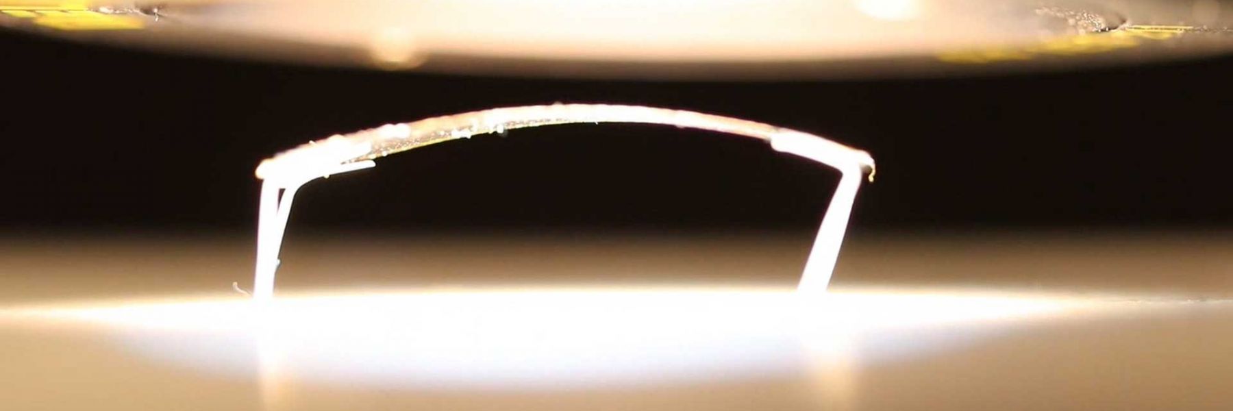 Light-driven crawler. Credit: Jaejun Lee