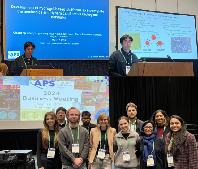 Valentine Lab presents at the American Physical Society's Annual