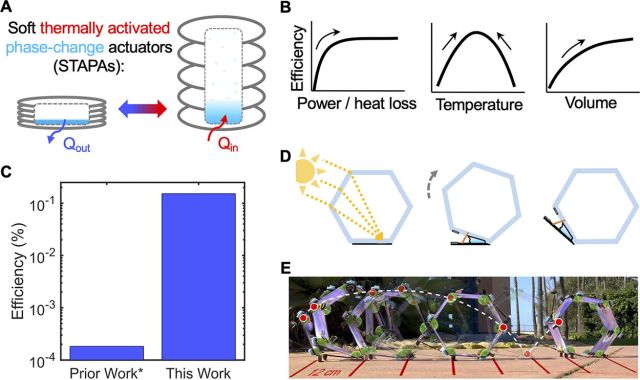 Summary of key results