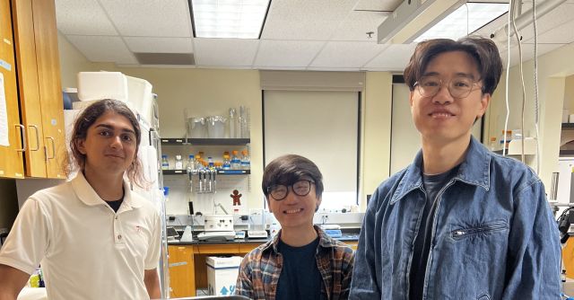 Photo of Adi Sriram, Caidric Gupit, and Qiaopeng Chen working on DMREF research