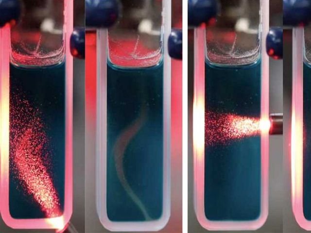 Light activated particle motion. Credit: Serena Seshadri, Luke Gockowski