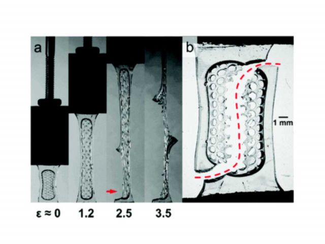 Fracture Event in Polymer Composite