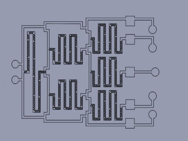 Microfluidic Chip. Photo credit: Vedika Shenoy