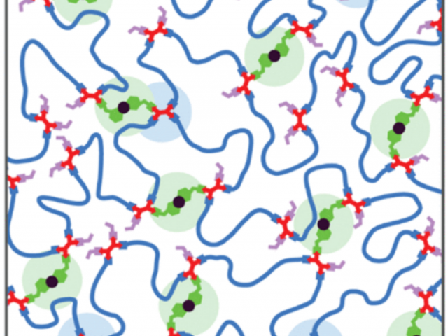 Schematic of network