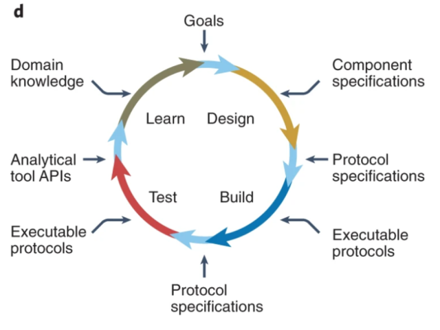 dbtl schematic