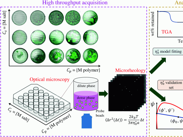 Workflow for Soft Matter Paper