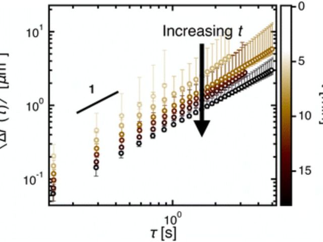 Example of data trace showing time evolution of viscosity