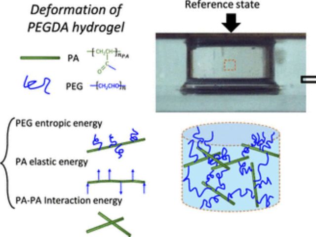 Graphical abstract showing material compression and schematic of network