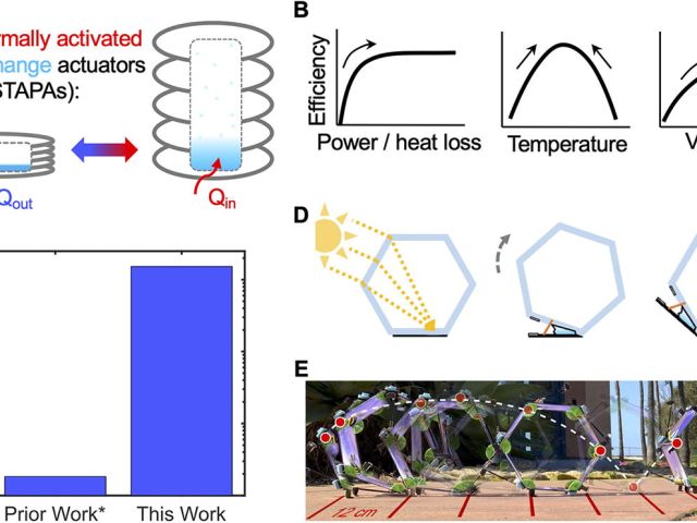 Data and images demonstrating key results of paper